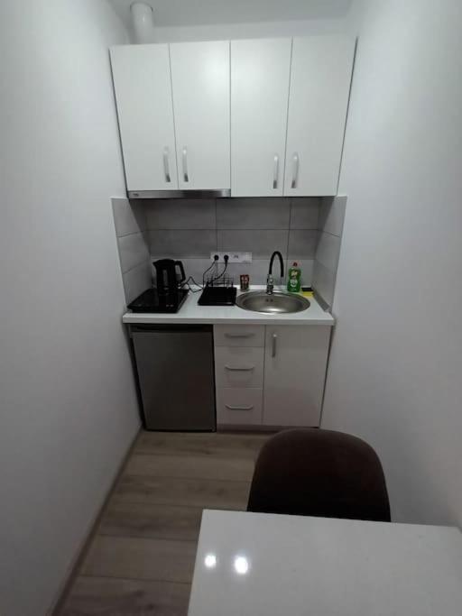 Old Town Studio 1 Apartment Nr 4 Baia Mare Eksteriør billede