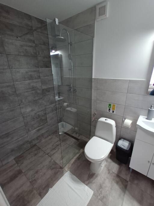 Old Town Studio 1 Apartment Nr 4 Baia Mare Eksteriør billede