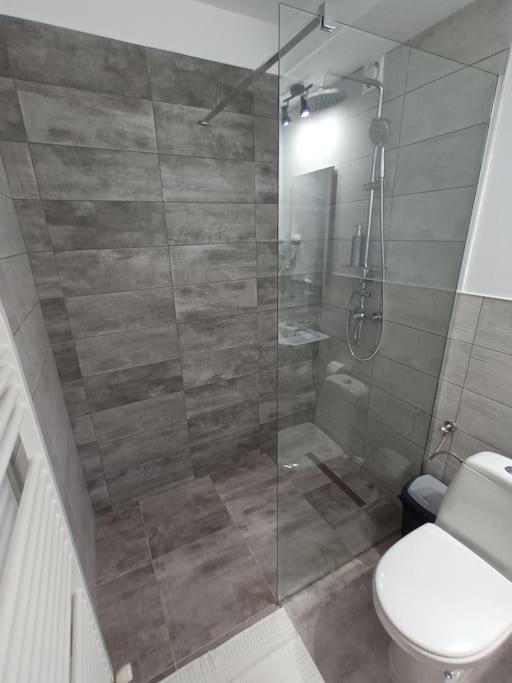 Old Town Studio 1 Apartment Nr 4 Baia Mare Eksteriør billede