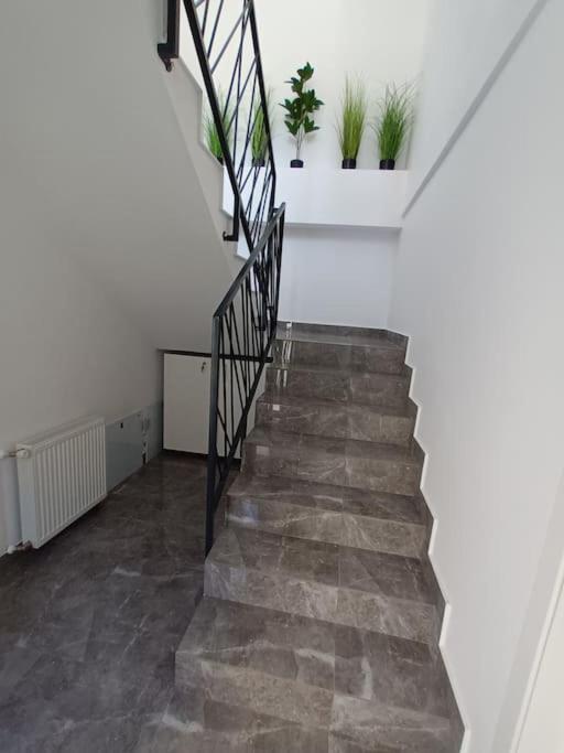 Old Town Studio 1 Apartment Nr 4 Baia Mare Eksteriør billede