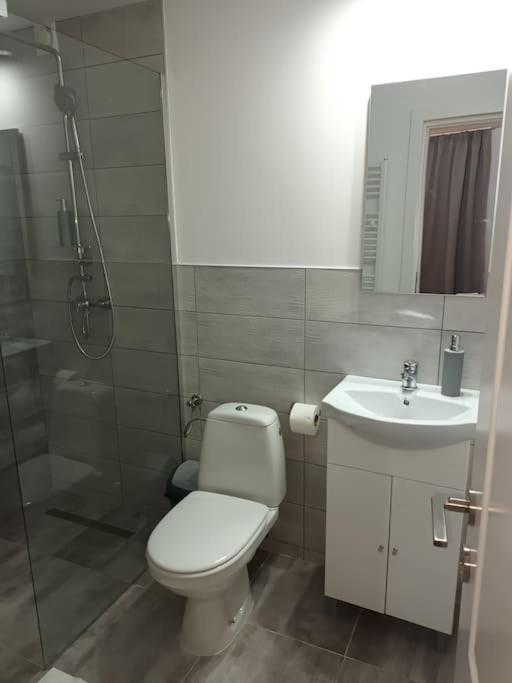 Old Town Studio 1 Apartment Nr 4 Baia Mare Eksteriør billede