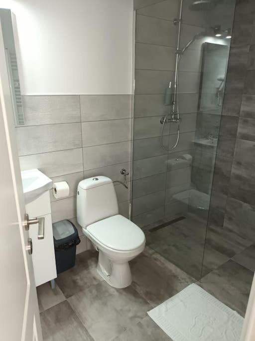 Old Town Studio 1 Apartment Nr 4 Baia Mare Eksteriør billede