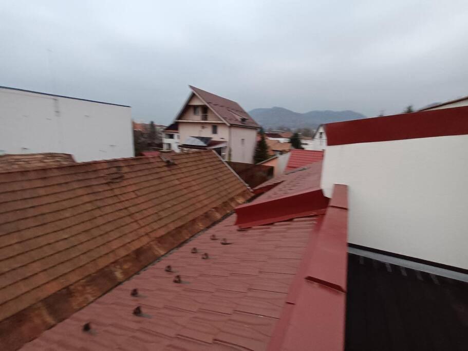 Old Town Studio 1 Apartment Nr 4 Baia Mare Eksteriør billede