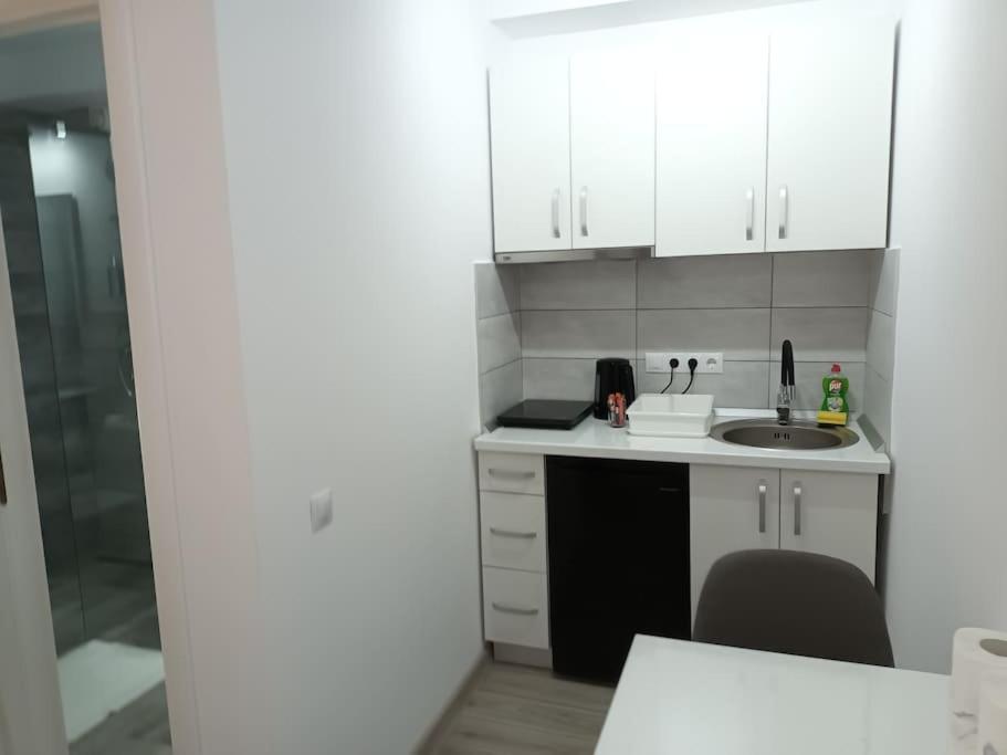 Old Town Studio 1 Apartment Nr 4 Baia Mare Eksteriør billede