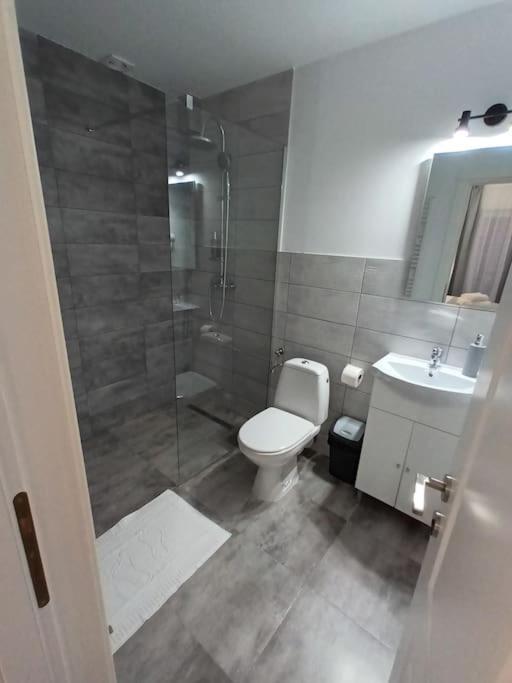 Old Town Studio 1 Apartment Nr 4 Baia Mare Eksteriør billede