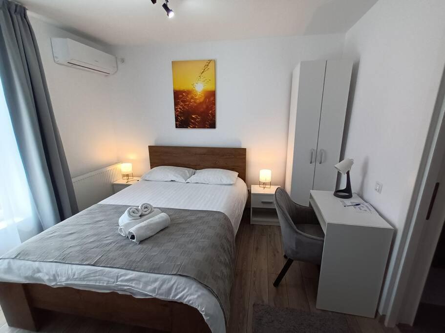 Old Town Studio 1 Apartment Nr 4 Baia Mare Eksteriør billede
