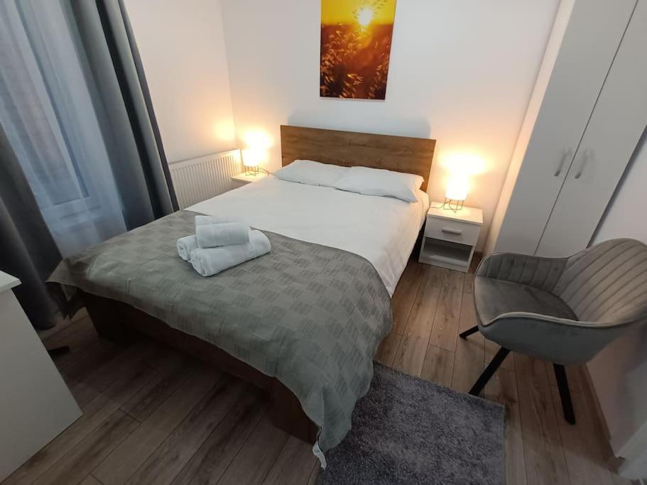 Old Town Studio 1 Apartment Nr 4 Baia Mare Eksteriør billede