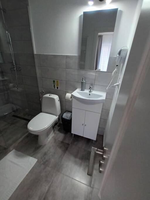 Old Town Studio 1 Apartment Nr 4 Baia Mare Eksteriør billede