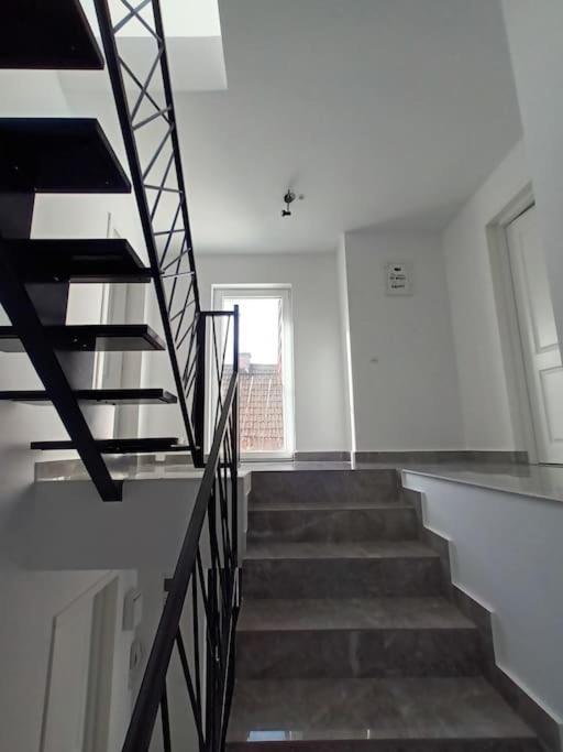 Old Town Studio 1 Apartment Nr 4 Baia Mare Eksteriør billede