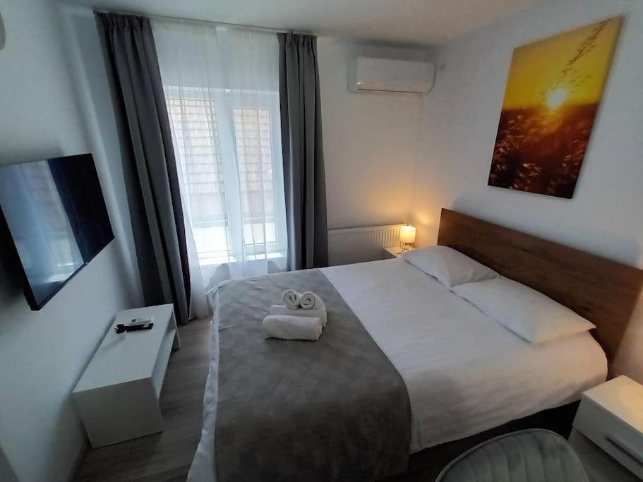 Old Town Studio 1 Apartment Nr 4 Baia Mare Eksteriør billede