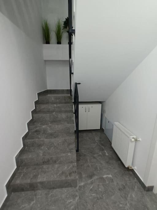 Old Town Studio 1 Apartment Nr 4 Baia Mare Eksteriør billede